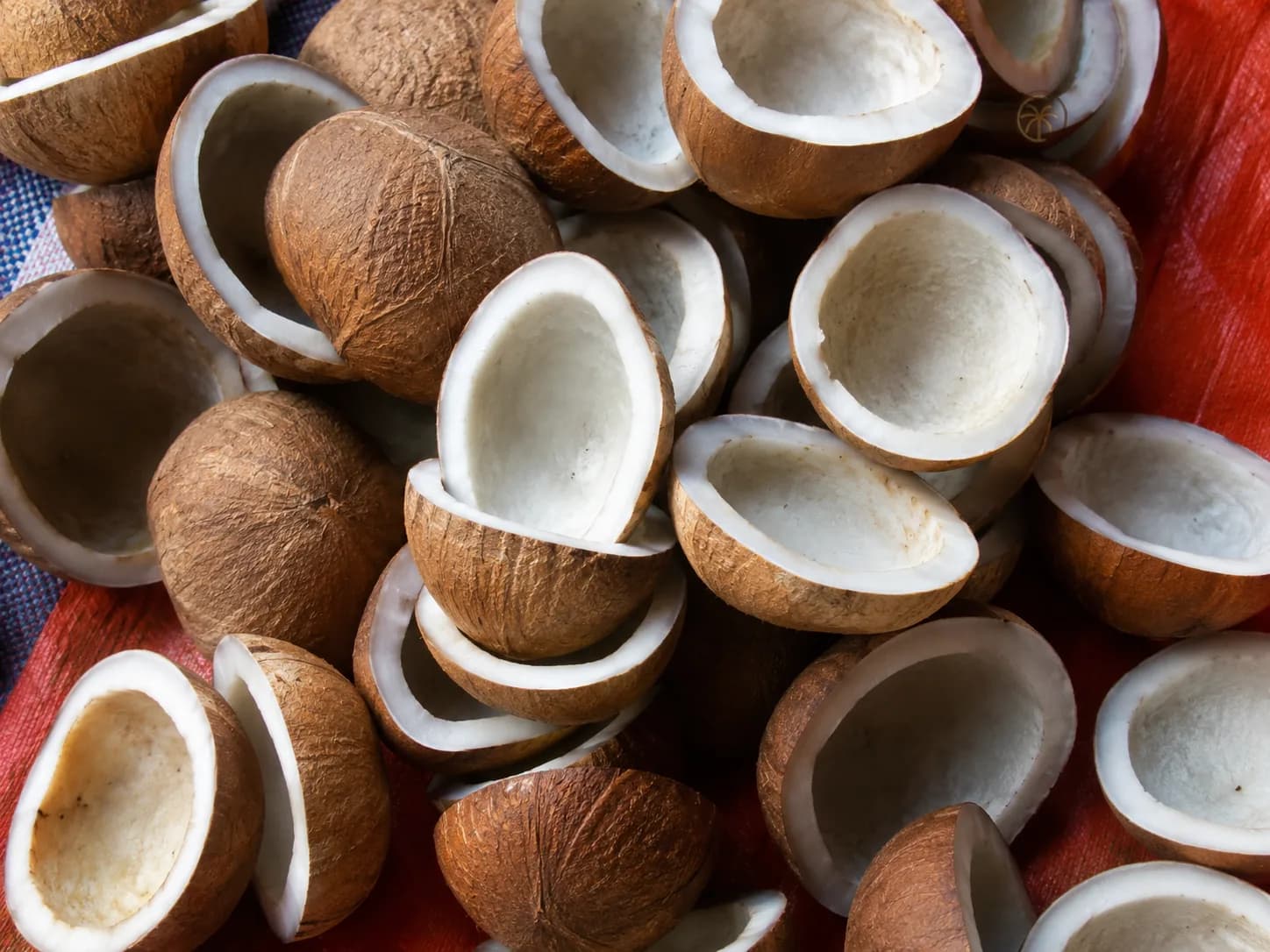 Dried Copra