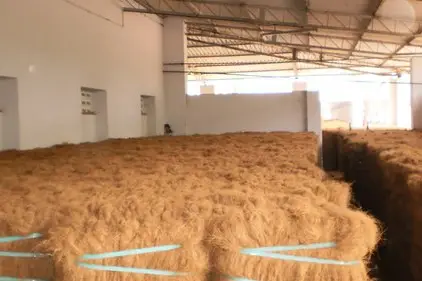 coir fiber production in Indonesia