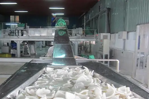 virgin coconut oil factory