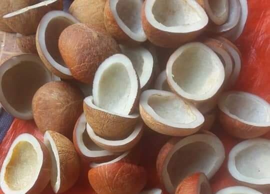 Premium dried style copra coconut copra