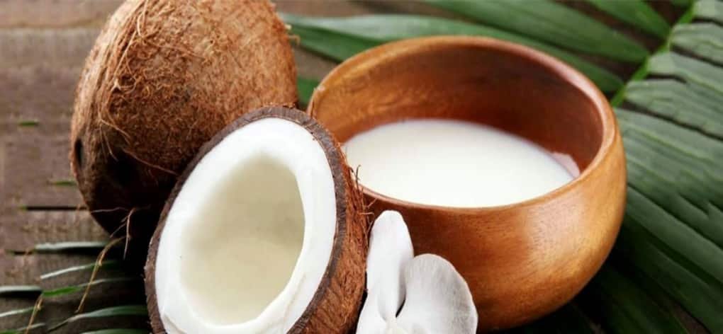 coconut meat product