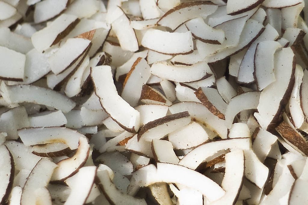 A brief overview tells about dried coconut or Copra COCOPANY