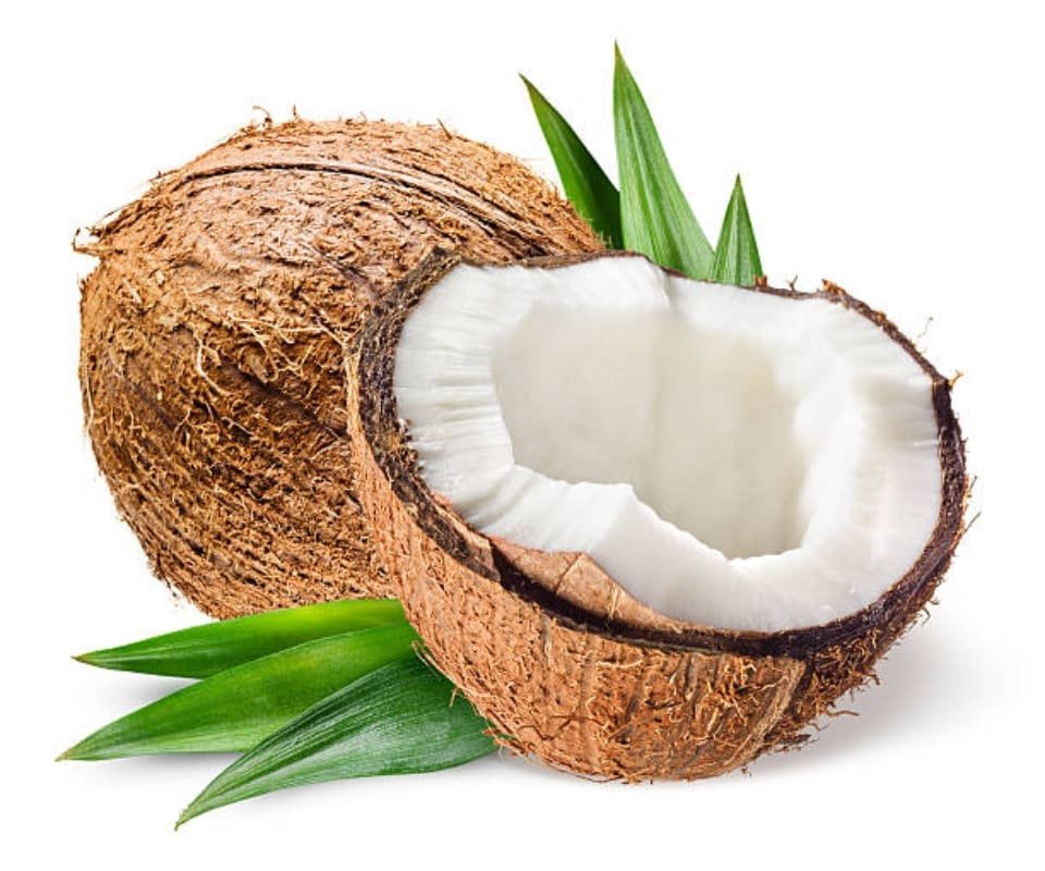 what is coconut meat