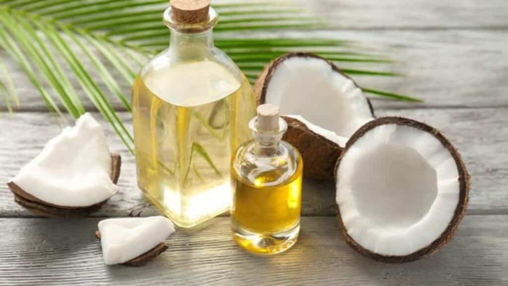 is-coconut-meat-good-for-you-cocopany-reliable-coconut-product-supplier